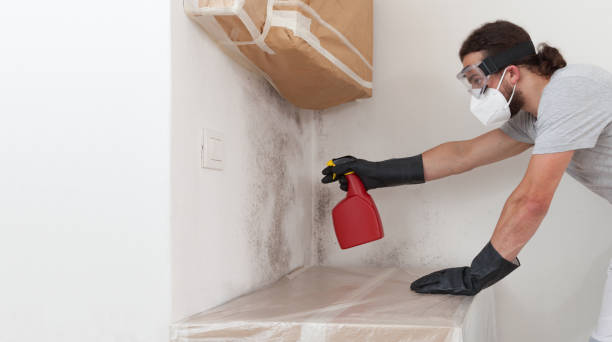 Professional Mold Removal technician working in Hathorne, MA